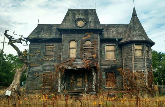 This Albertan Created the Most Amazing Replica of the House From It